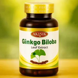 Gingo Biloba Kapsülü 600mg x 60 kapsül